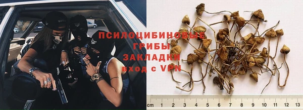 гашиш Зеленодольск
