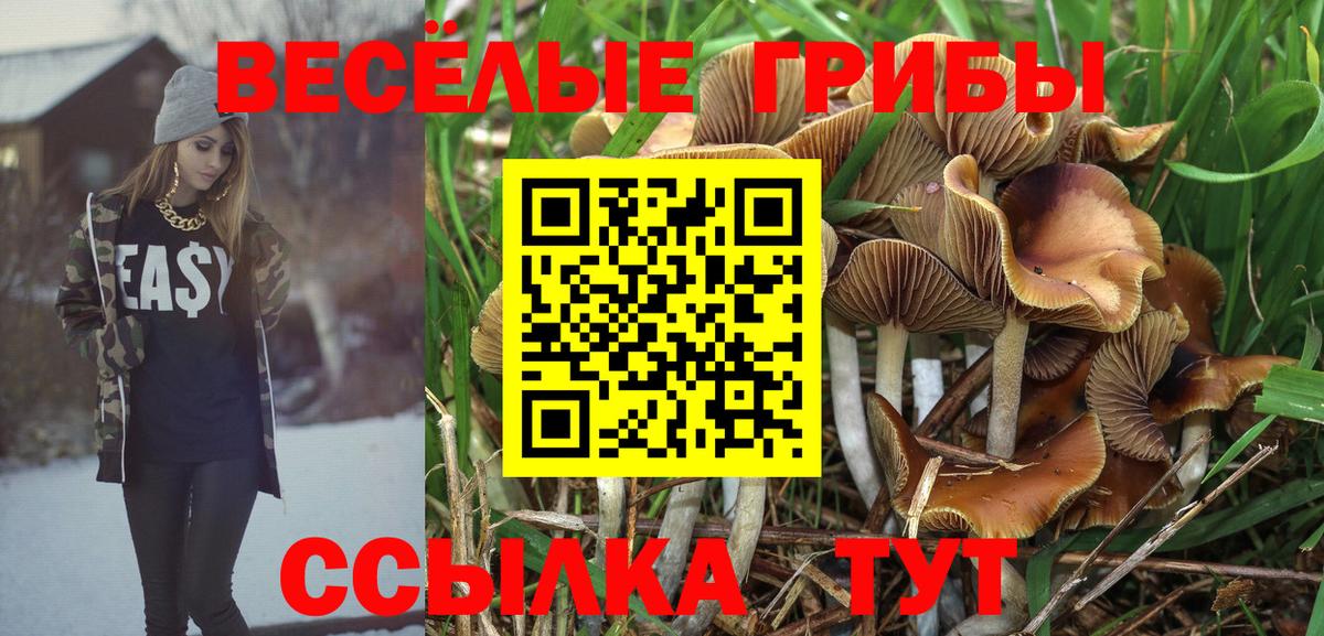 Псилоцибиновые грибы Psilocybe  Вход с VPN  Мирный 
